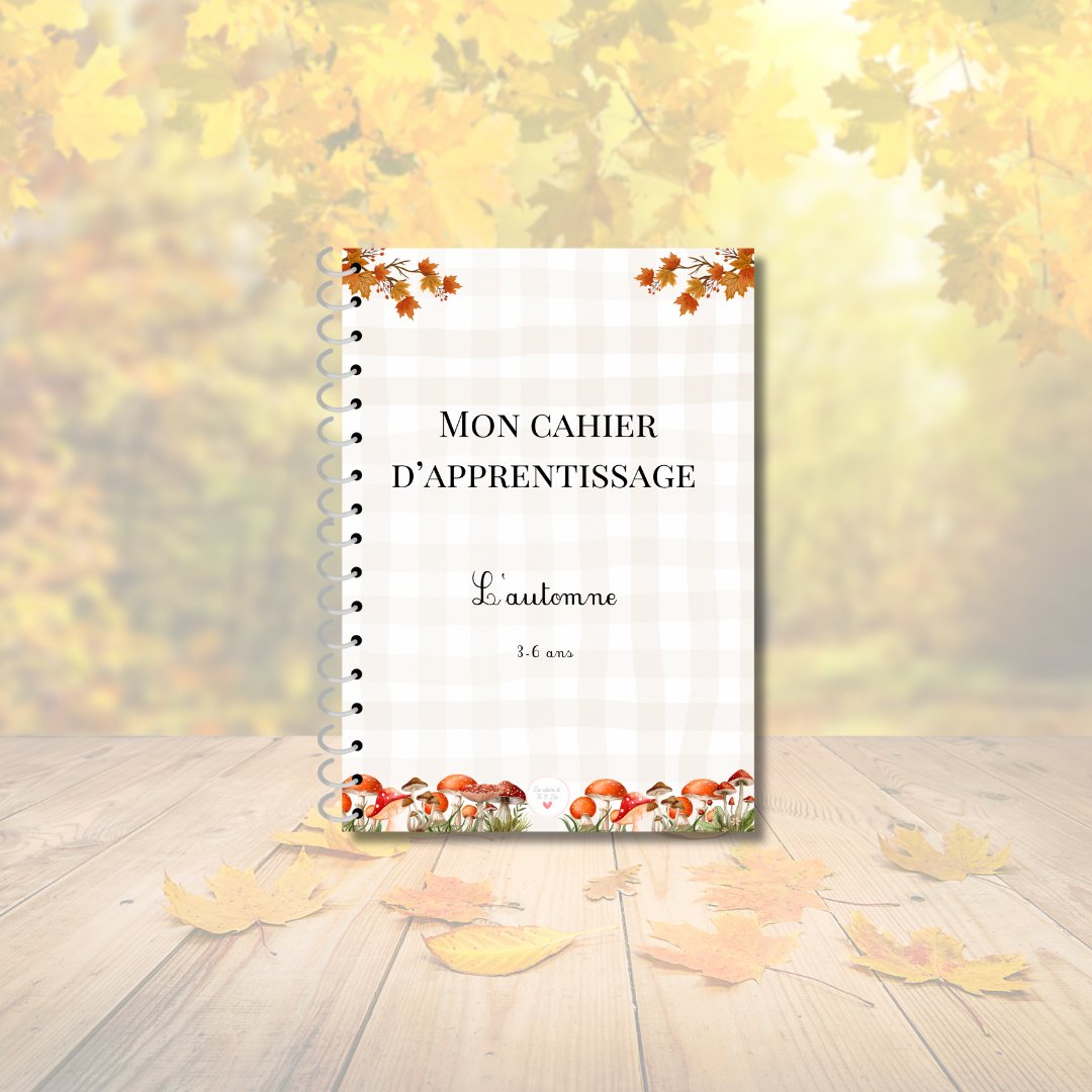 Cahiers d'activités 3 - 6 ans
