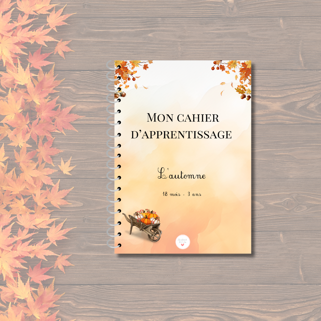 Cahiers d'activités 18 mois - 3 ans