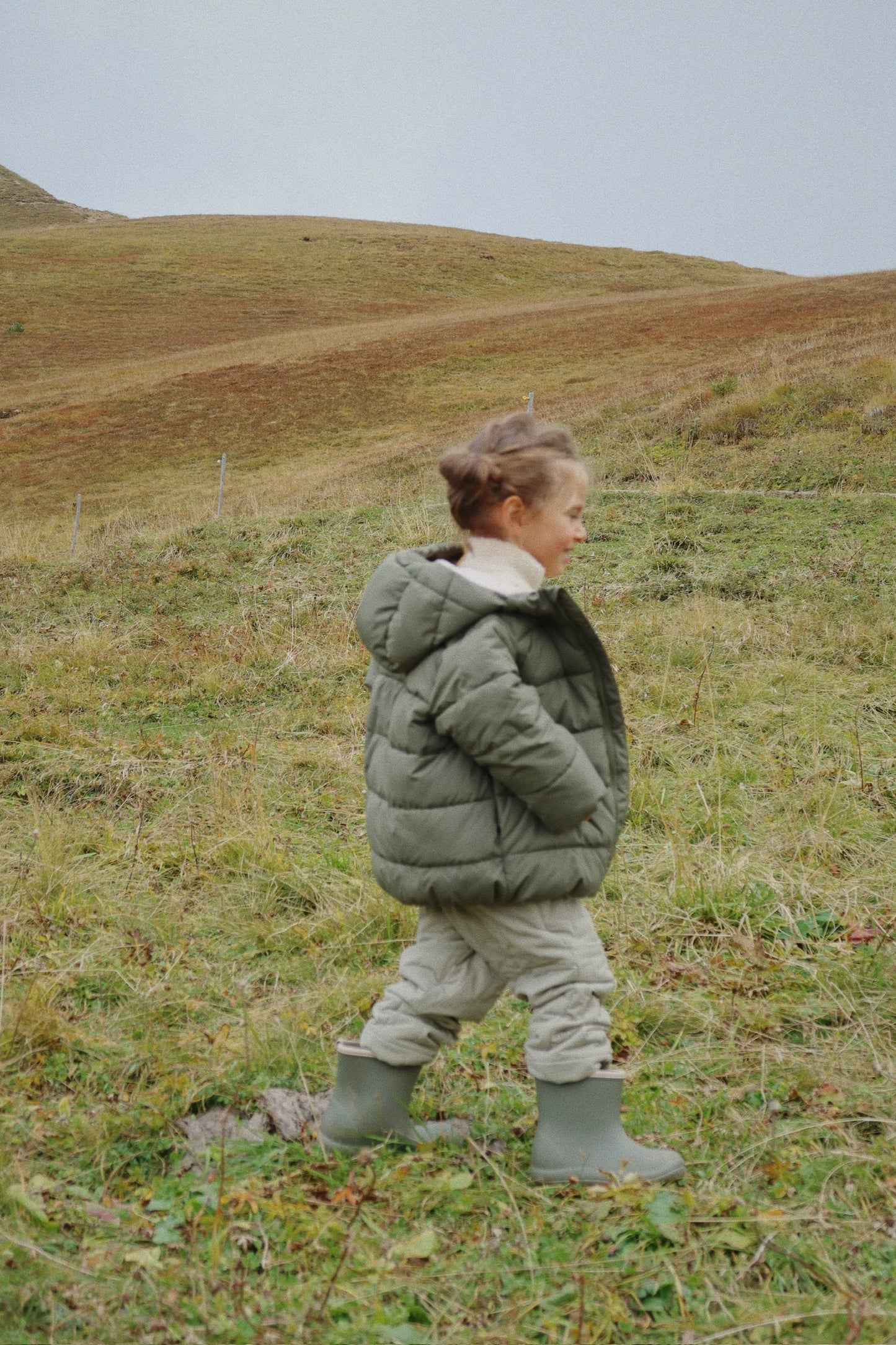 Veste Alpi - Konges Sjøld